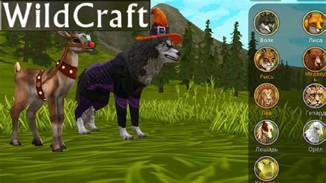 Wild Craft Игровой процесс Wildcraft Youtube