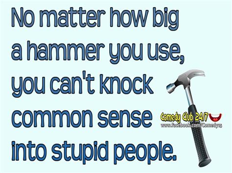 No Matter How Big A Hammer You Use You Cant Knock Common Sense Into