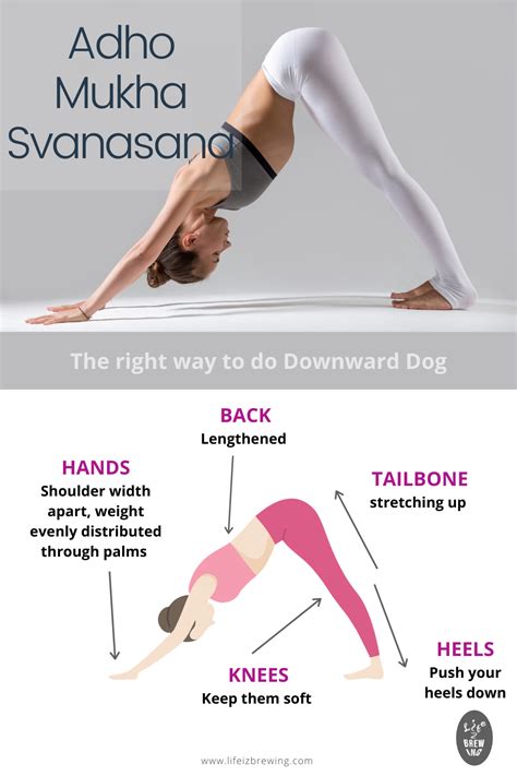 With over 30,000 different configurations, down dog gives you the power to create a yoga practice that you love! How To Do Downward Dog Correctly in 2020 | Easy yoga ...