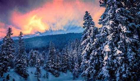 Winter Wallpapers Photos And Desktop Backgrounds Up To 8k 7680x4320