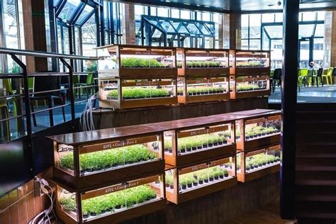 Smart Greenhouse Lets You Grow Vegetables In Your Apartment 1000
