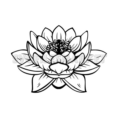 Lotus SVG, Vector Graphics, Easy to Use. Perfect for Your Project. Dfx