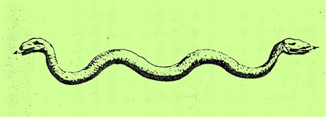 Here presented 54+ snake tattoo drawing images for free to download, print or share. double headed snake drawing - Google Search | Cobras