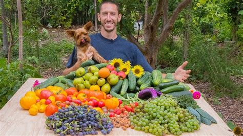 Video Friday Backyard Gardening Harvest The Best Food In The World