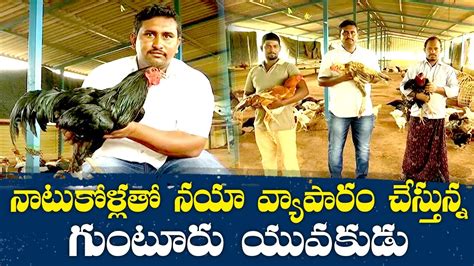 Natu Kodi Country Chicken Business Done By A Youngster Yuva Youtube
