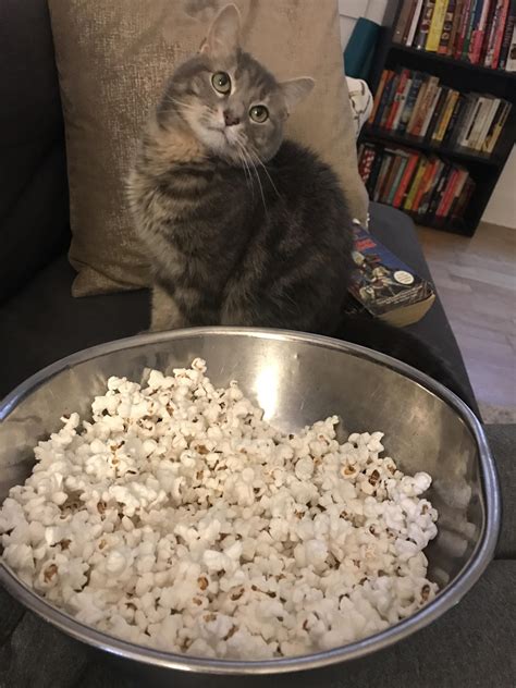 The Only Time She Lets Me Hold Her Is To Watch The Popcorn
