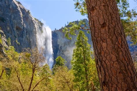 Premium Photo Yosemite Bridalveil Fall Waterfall California