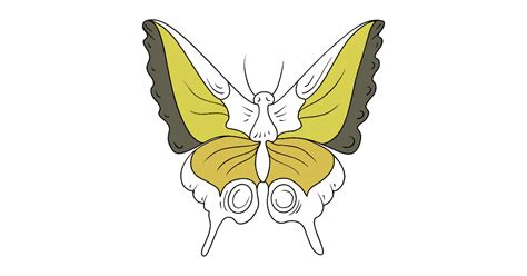 Swallowtail Butterfly Coloring Page Print For Free