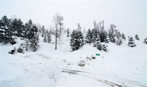 18 Great Places To See Snow Falls In India Tour My India