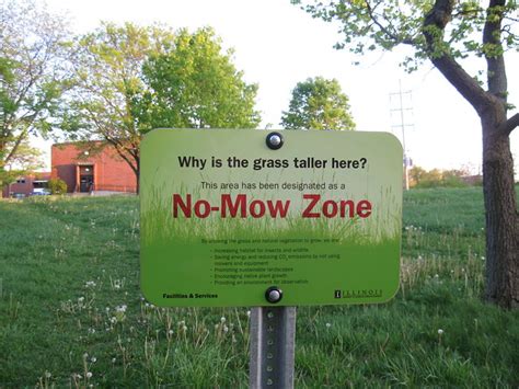 No Mow Zone U Of I Flickr Photo Sharing