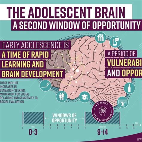 Stream The Adolescent Brain An Overview Of The Compendium With Nikola Balvin By Unicef