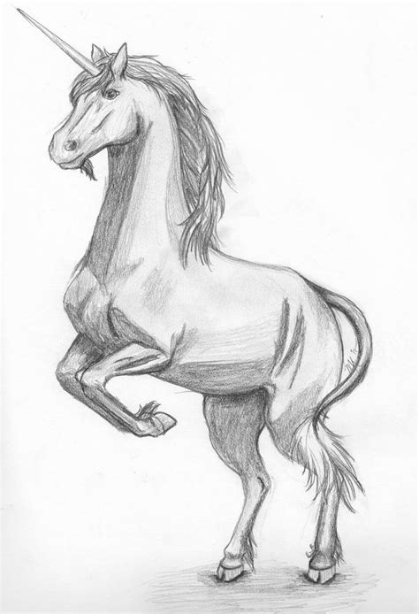 I only draw when i am drawing for someone, and i think this will make a great i've never drawn a unicorn before and this website taught me how to do it flawlessly! Unicorn Sketch by Dragon-Sphere on DeviantArt