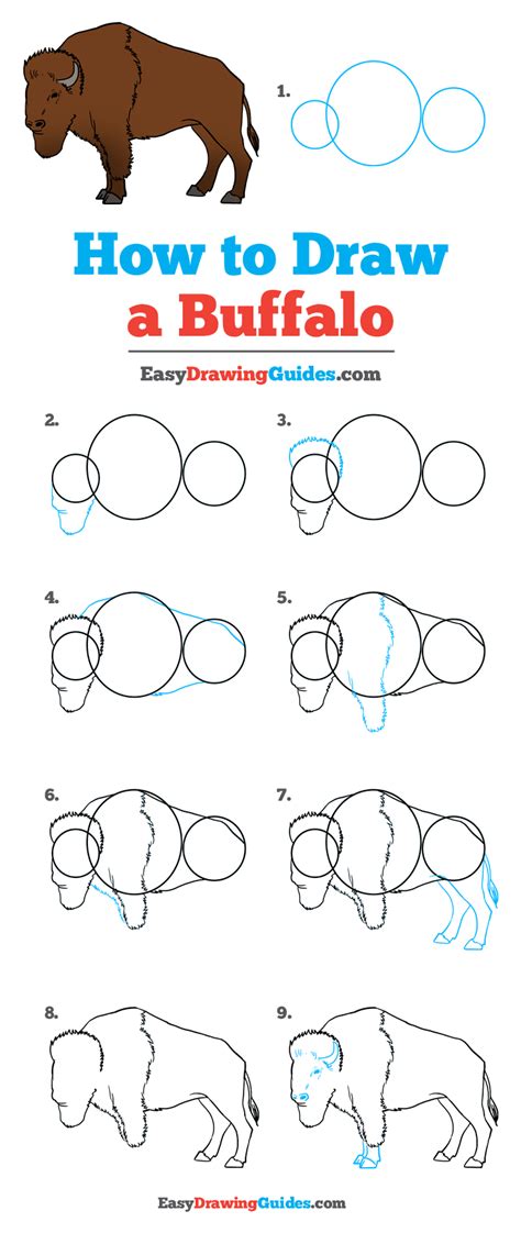 Try a few or all of them. How to Draw a Buffalo - Really Easy Drawing Tutorial