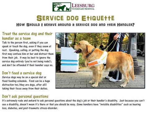 Now, it's time to get when it comes to dog quotes, inspirational ones are the best! Service dog etiquette. Do you know how to act around a service dog and their handler? | Service ...