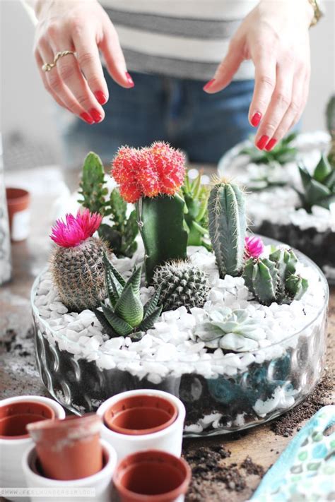 Collection by megan riddle • last updated 4 weeks ago. DIY Tabletop Cactus Garden.....Get Creative with a Garden ...
