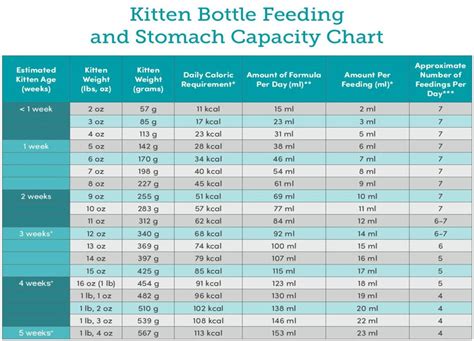 Kitten Bottle Feeding Chart Best Pictures And Decription Forwardsetcom