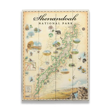 Shenandoah National Park Xplorer Map Shop Vintage Maps