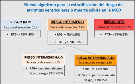 Comunicaci N Muerte S Bita Y Arritmias Ventriculares Revista Espa Ola