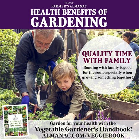 The Vegetable Gardeners Handbook The Best Gardening Book To Get You