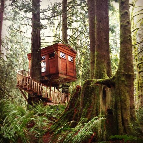 Whoa You Can Rent This Treehouse At Treehouse Point Washington State Should We Add This Place