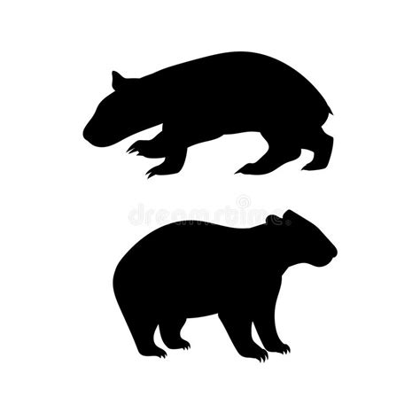 Wombat Vector Silhouettes Stock Vector Illustration Of
