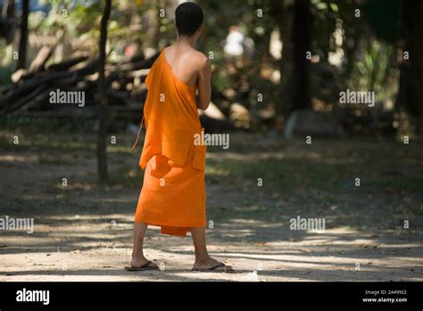 Theravada Buddhist Monk High Resolution Stock Photography And Images