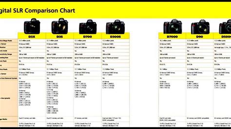 Comparison Of Nikon Dslr Cameras