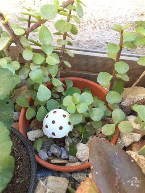 DIY Cement Mushrooms • My Sweet Things