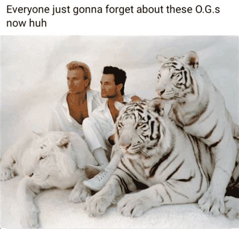40 Best Reactions To Tiger King Memes Designbump