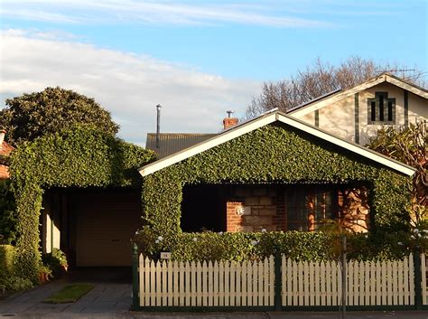Fileneatly Trimmed Bungalow Adelaide Wikimedia Commons
