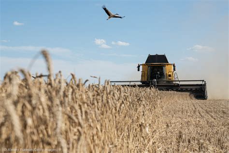 Importance Of The U N Black Sea Grain Initiative Shareamerica