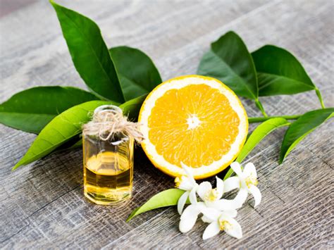 Orange Blossom Absolute Triefta Aroma Nusantara A Way To Go Nature