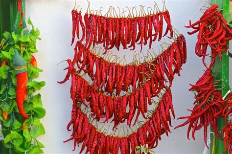 Ricette di halloween dolcetto o scherzetto? si recita nella famosa notte di halloween dedicata ai mostri e alle streghe. Cibi portafortuna Capodanno - La Cucina Italiana