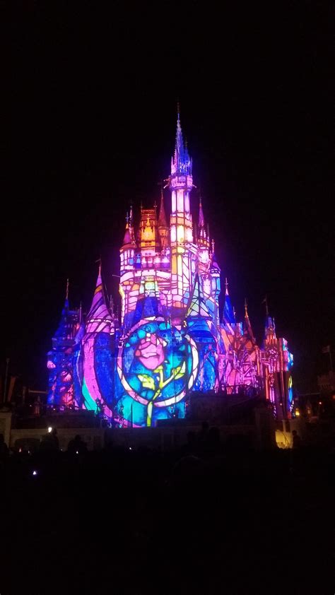 Beauty and the Beast rose on Cinderella Castle Disney World : disney