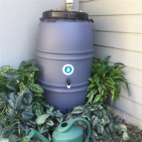 Simply place the rain barrel beneath a down. GreatAmericanRainBarrel 60 Gallon Rain Barrel & Reviews ...