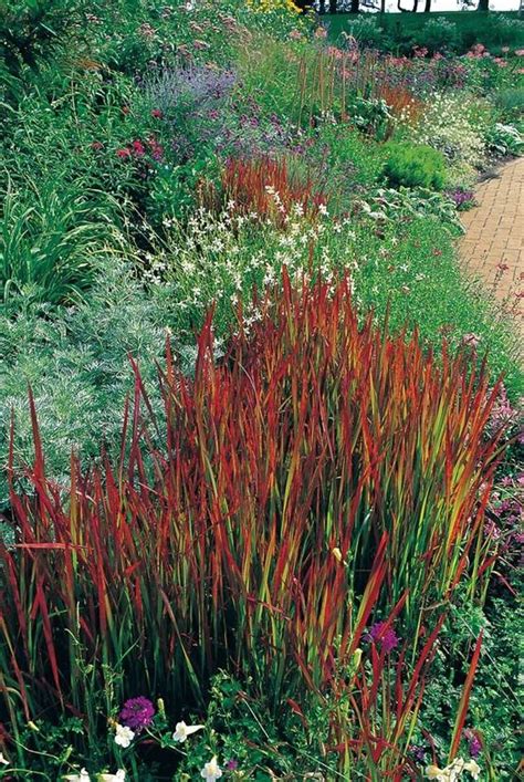 A cute little pathway lined with small river rock, modern lanterns, and landscape grasses via. Beautiful Landscaping With Ornamental Grasses : Garden ...