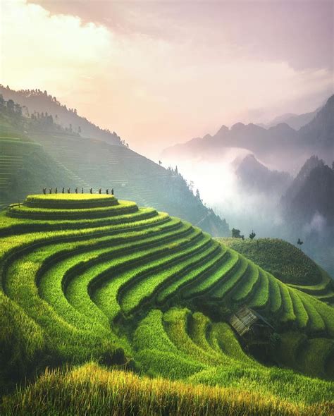 Incredible Vietnam Landscape Nowexplorer 🌲 Best Places To Travel