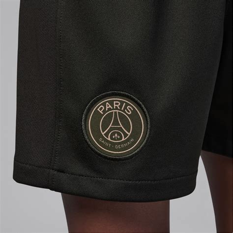 Nike Paris Saint Germain X Jordan Fourth Kit 2023 2024 Minikit Hemp