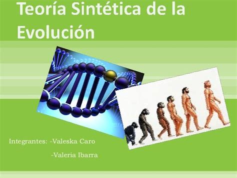 Teoria Sintetica De La Evolucion Mapa Conceptual Ilsi Images
