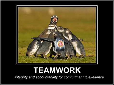 Funny team building teamwork quotes. Funny Animal Teamwork Quotes. QuotesGram