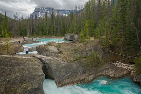 Yoho National Park Emerald Lake And Natural Bridge Aqua Magic