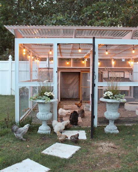 Chicken Coop Design Ideas To Keep Your Flock Happy And Healthy Get Inspired Now