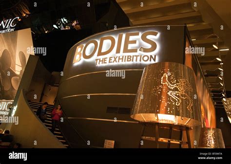Bodies The Exhibition Vegas Hi Res Stock Photography And Images Alamy