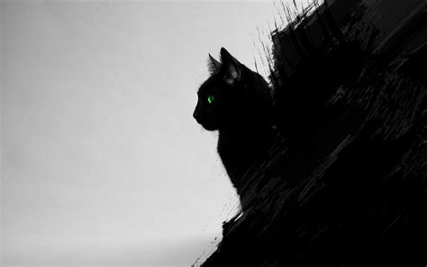 So just imagine how long would it take to make the entire manga just in black and white. cat, Black Cats, Animals, Green Eyes, Artwork, Digital Art, Black, Gray Wallpapers HD / Desktop ...
