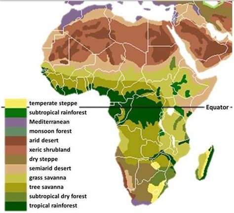 The Main Biomes In Africa Drawn By Hand Using Maps Environmental