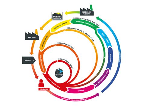 Circular Economy 101 Designing Regeneration Into The System By