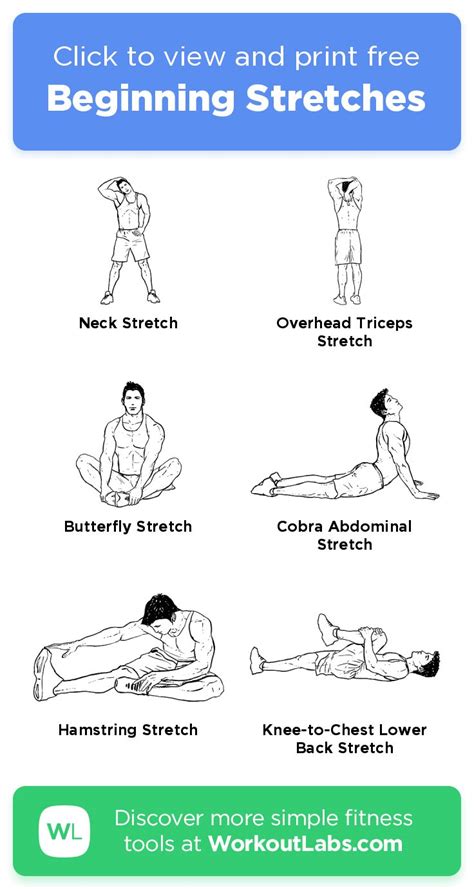 Free Workout Beginning Stretches Workoutlabs Fit In Workout Labs Pre Workout