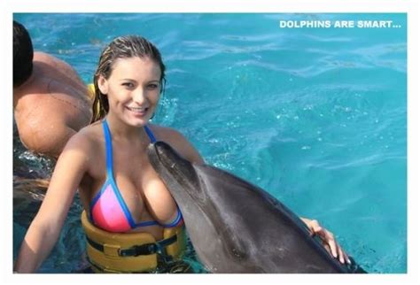 Dolphin Coping A Feel Imgur