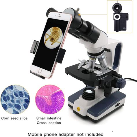 Buy Swift Binocular Compound Microscope Sw350b 40x 2500x Magnification