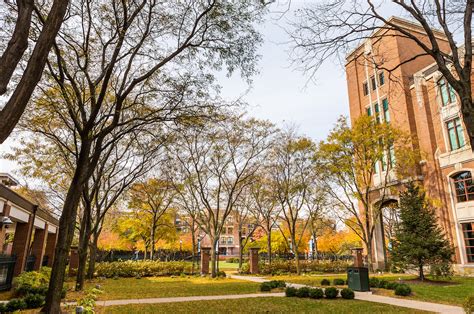 Campus and Community | Sections | DePaul University Newsline | DePaul University, Chicago